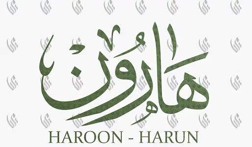 HAROON SERVICES.... ☐ 3D \ ☐ 4DAYS